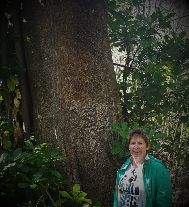 Chatham Islands, New Zealand. Moriori tree carving.